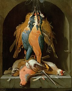 Stilleven van vogels